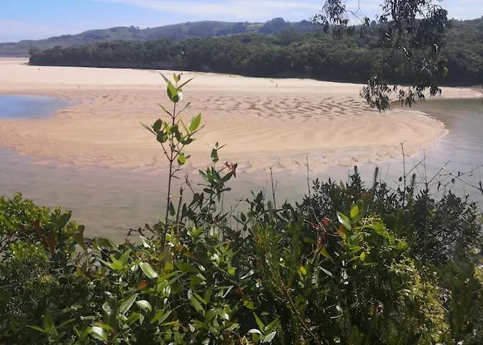 Хостел Wayve House