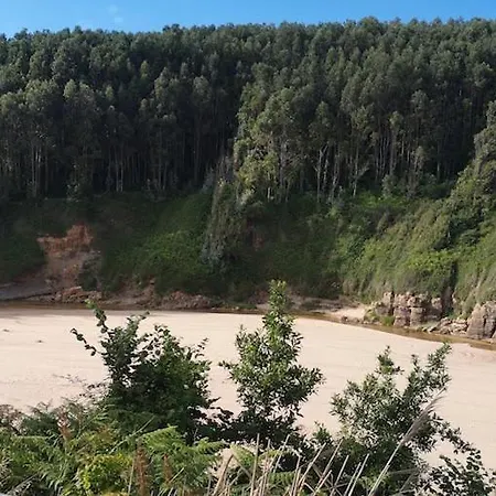 Wayve House אכסניה