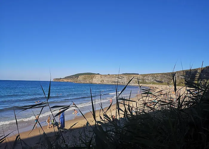 Wayve House Vandrarhem